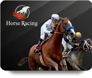 Get Started with Dafabet Bet Online: A Beginner\